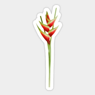 Red Heliconia Sticker